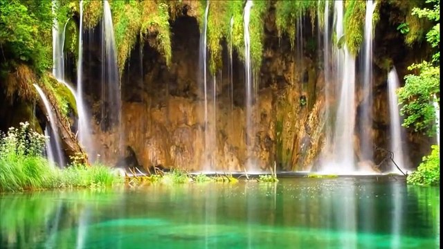 Самая красивая на свете мелодия (аккордеон)