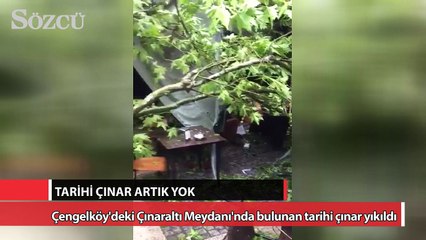 Çınaraltı Meydanı'nın tarihi çınarı artık yok