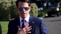 Newt Gingrich Slams Anthony Scaramucci Calling Him 'Full of Himself'