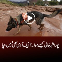 flood destroyed complete city . You can't believe on this