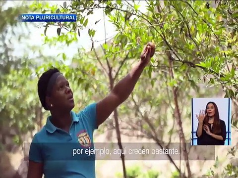Nota Pluricultural - Platos tradicionales Valle del Chota