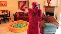 Y divertido consigue cabello vida película rosado bromas arco iris Chica araña superhéroes en Superdog real
