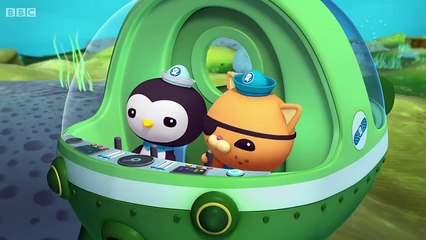 The Octonauts 33. The Combtooth Blenny