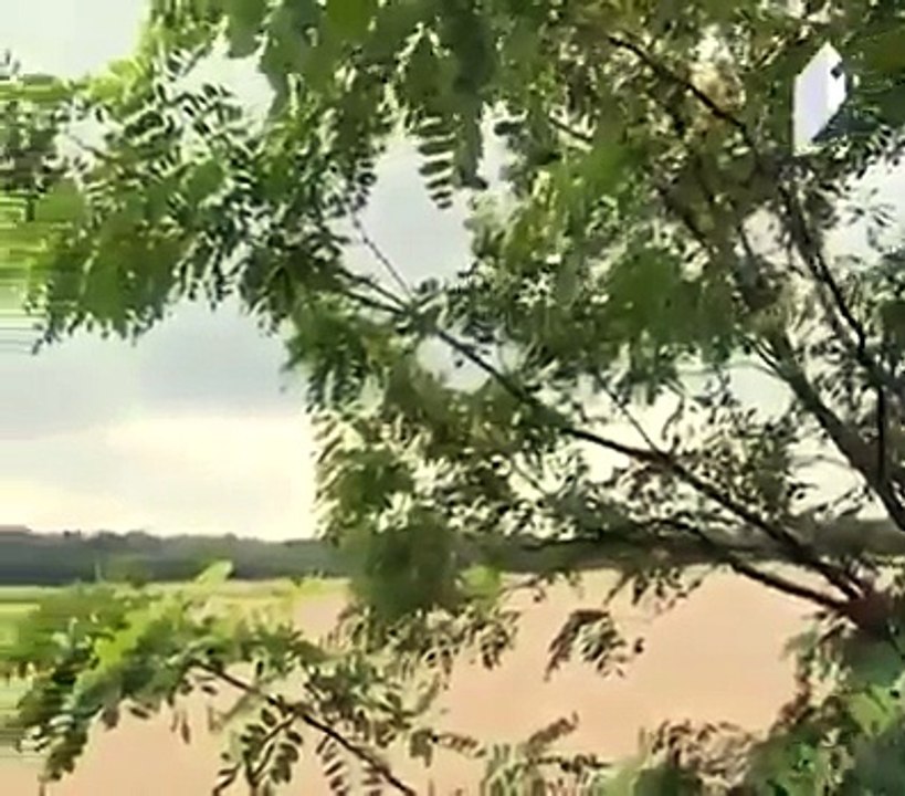 unbelievable rescue with helicopter