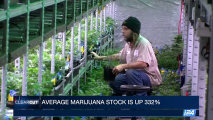 CLEARCUT | Average marijuana stock is up 332% | Thursday, July 27th 2017