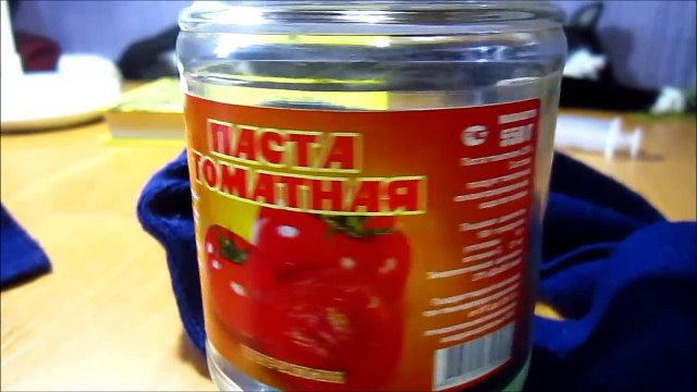 Как сделать гомункула (Homunculus) Он ожил! ШОК!