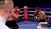 david lemieux vs curtis stevens full fight knockout