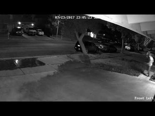 Coyotes Chase Dogs in Corona Neighborhood