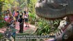 Pegadas de dinossauros estão expostas no Zoológico de São Paulo