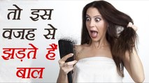 Hair Fall: Here are reasons and remedies | इन वजहों से गिरते है बाल | Hair Care | Boldsky