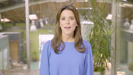 A Private Equity Firm Announces Plans to Buy WebMD