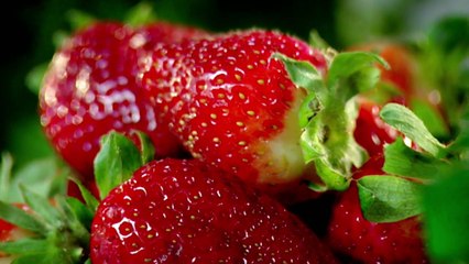 Rose Water Cream with Raisin and Pistachio Biscuits | Gordon Ramsays The F Word Season 4