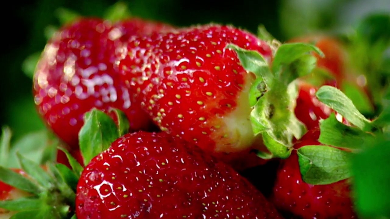 Rose Water Cream with Raisin and Pistachio Biscuits | Gordon Ramsays The F Word Season 4