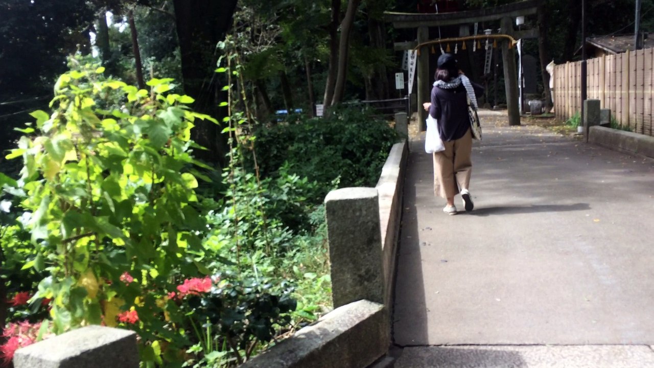 Travel in Japan