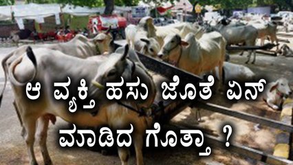 A Man Arrest In Maharashtra For Having Sex With Cow | Oneindia Kannada