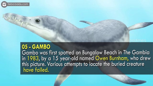 10 Mysterious Creatures That Washed Up On Beaches