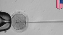 U.S. scientists successfully gene-edit human embryos