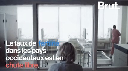 Le taux de fertilité en chute libre dans les pays occidentaux