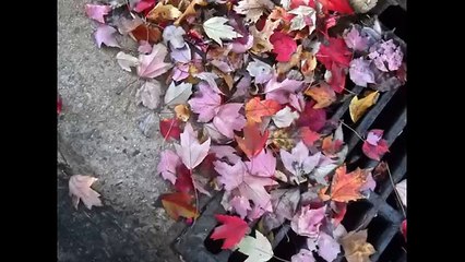 Αποφραξεις Μοσχάτο – 2109700003 – Apofraχeis Mosxato