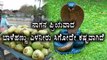 Nag Panchami : Banana and Tender coconut prices have gone high  | Oneindia Kannada