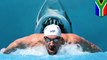 Michael Phelps defends his Discovery race against fake shark