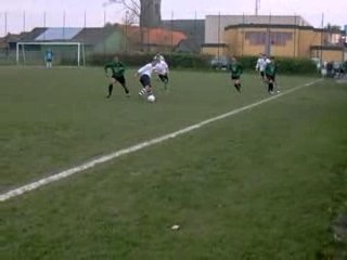 Impressionnant nours