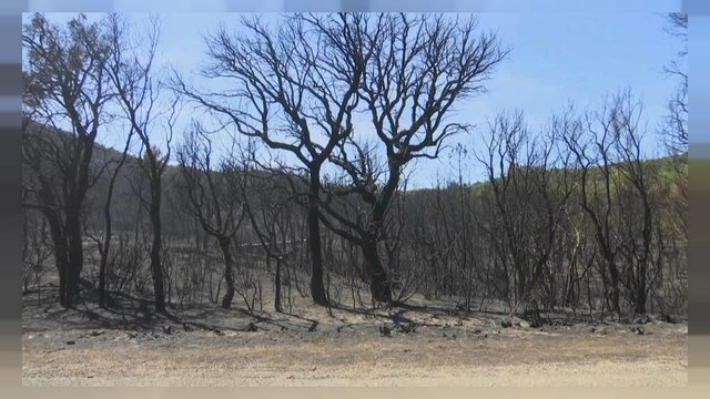 Francia, incendi sotto controllo