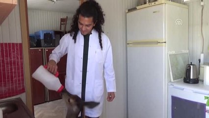 Üniversitelilerden Yaban Hayatına Gönüllü Destek