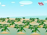 Vegetable Rhymes (Lemon) by Jingle Toons nursery rhymes