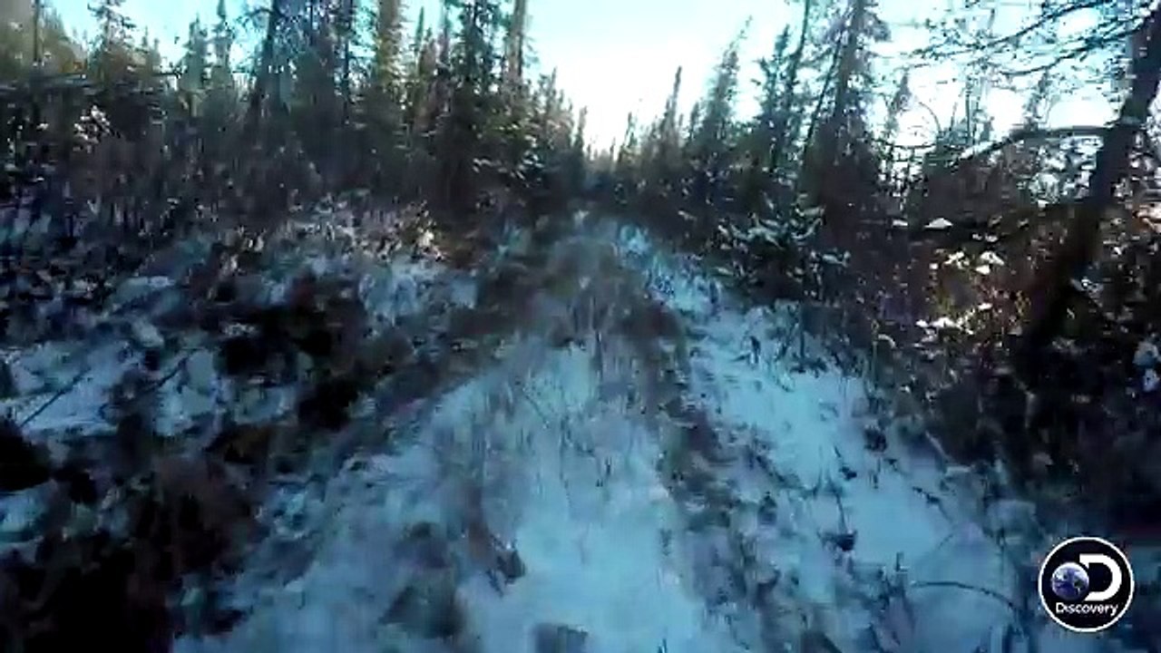 What Happens When Your Sled Dog Team Runs Off Without You? | Yukon Men