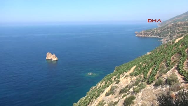 Antalya Türkiye'nin Tropik Bahçesi Gazipaşa