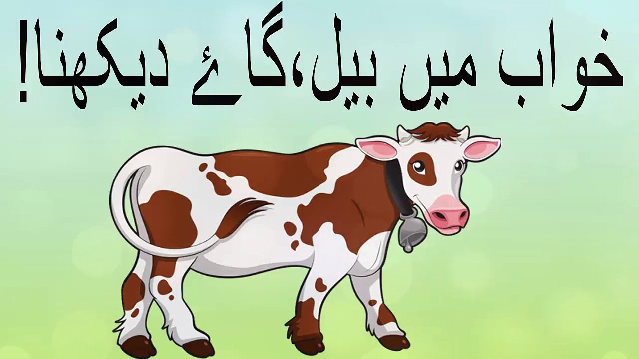 khwab main gay dekhna - khwab mein bhains dekhna  khwab mein bhains dekhny ki tabeer