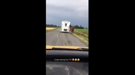 Un cheval traîné par un van sur la route.