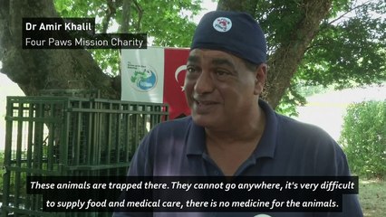 Meet the lesser-known victims of the war in Syria