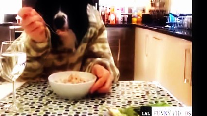 [funny video]Xem đi Xem Lại 100.000 Lần vẫn không thể nhịn cười