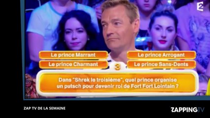 ZAP TV : Nagui en colère, l’hommage au père Hamel, Jean-Luc Mélenchon quitte l’Assemblée nationale… (Vidéo)