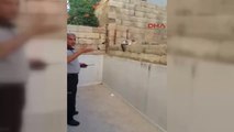 Gaziantep Çatıdan Atlayan Kedi, Demire Saplandı