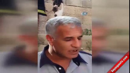 Çatıdan atlayan kedi demire saplandı