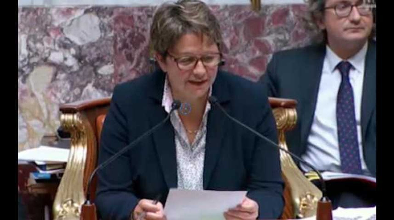 Les pires couacs des députés LREM à l'Assemblée nationale