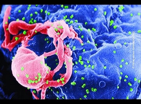 Svetski dan borbe protiv hepatitisa, 28. jul 2017 (RTV Bor)