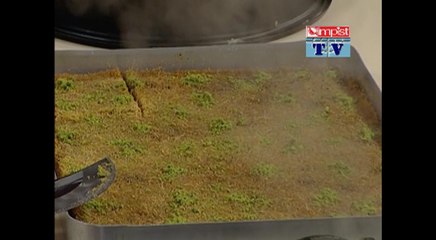 TEPSİ KADAYIF (ANTEP FISTIKLI) - olimpist