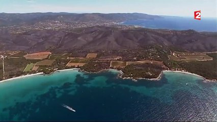 Bormes-les-Mimosas : l'incendie est maîtrisé