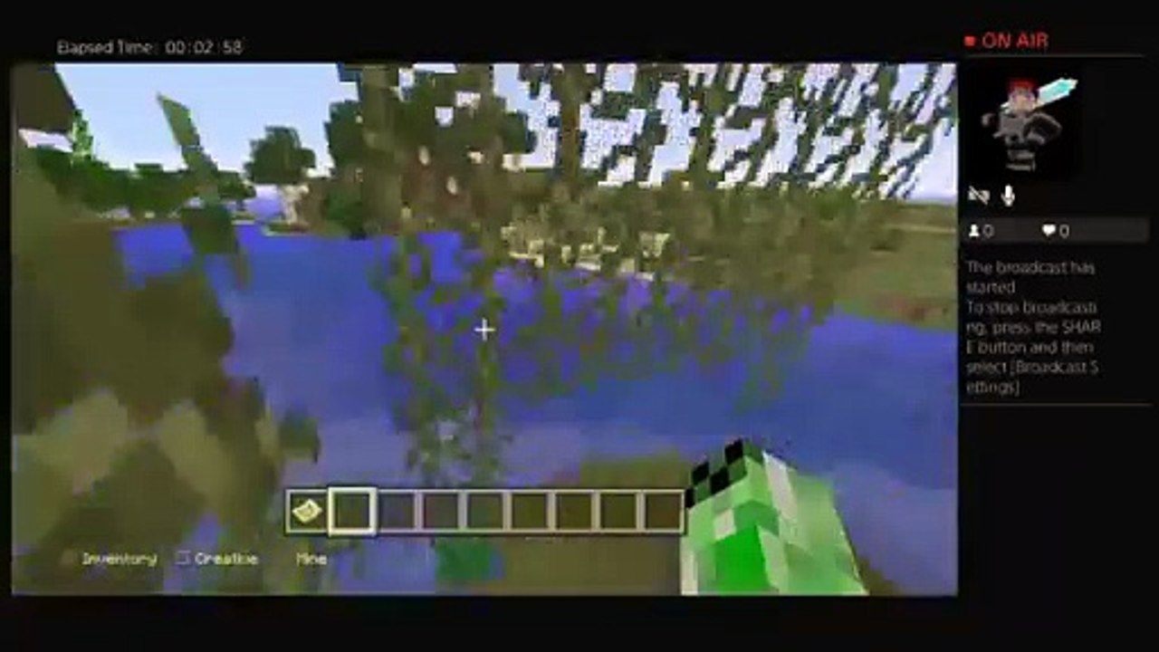 Minecraft pros (29)