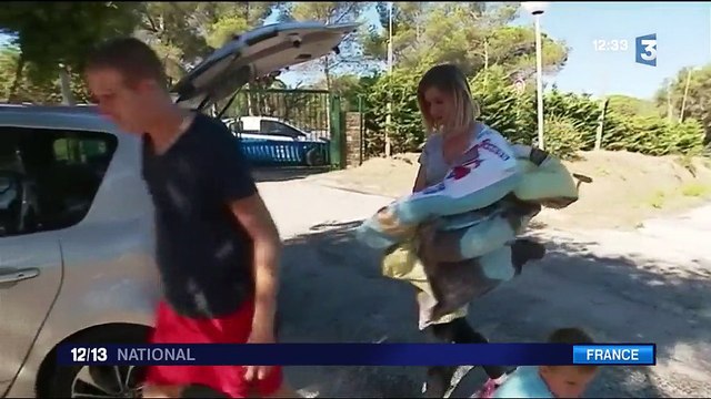 Bormes-les-Mimosas : la vie reprend après l'incendie