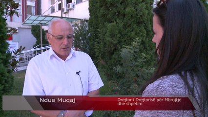 Djegia e hamulloreve dëmton floren dhe faunën - Lajme