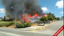 Antalya’da ormanlık arazi alev alev yandı