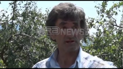 Ora News - Temperaturat e larta po “thajnë” Elbasanin, fermerët apel për ndihmë