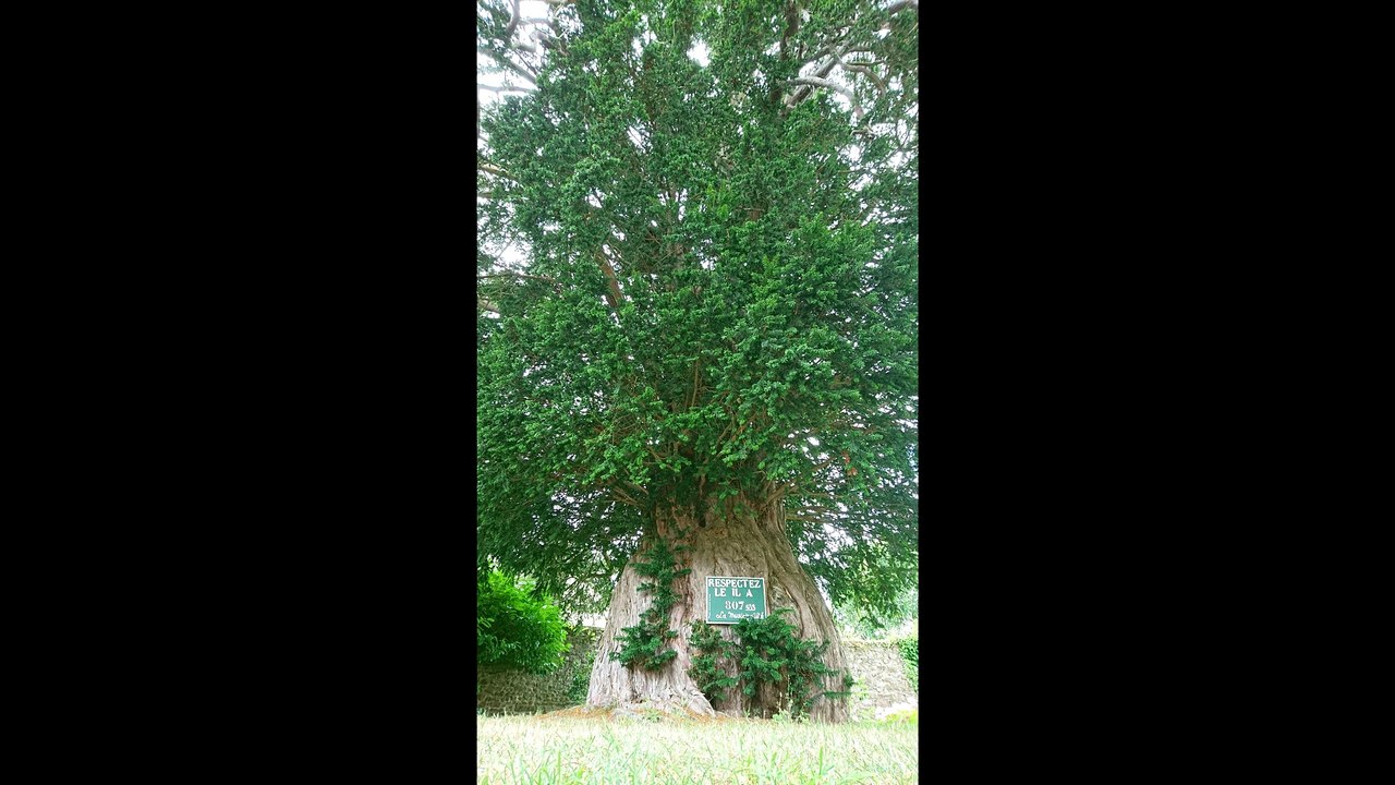 CAROLLES plage ,GRANVILLE