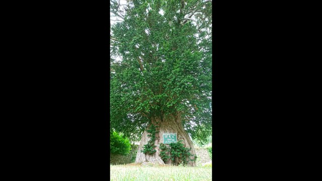 CAROLLES plage ,GRANVILLE