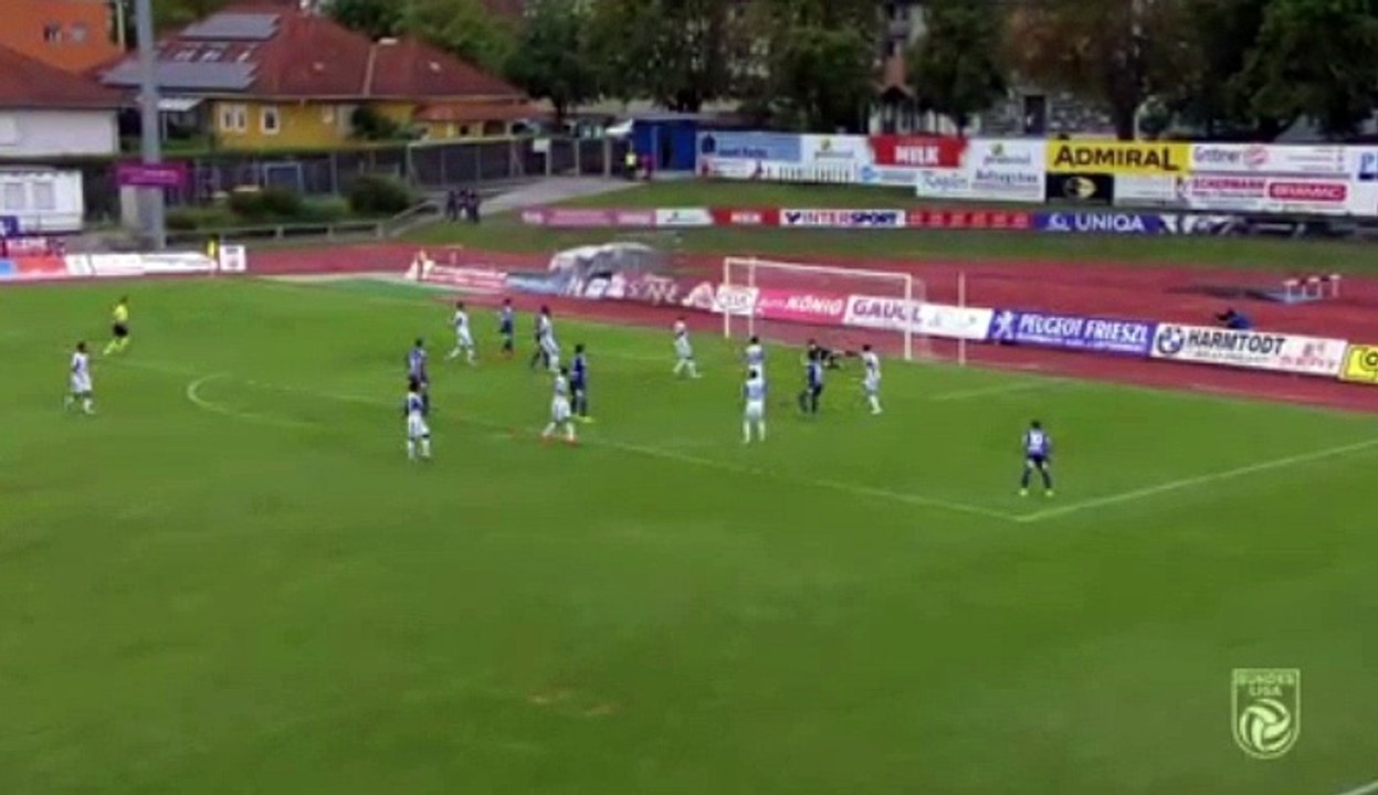 Manfred Fischer GOAL HD - Hartberg 1-0 FAC Wien 28.07.2017